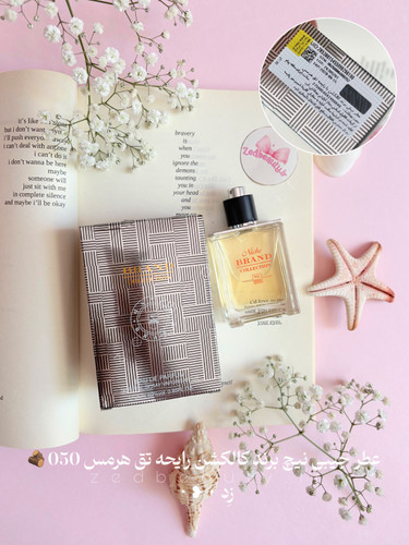 عطر نیش برند کالکشن | رایحه تق هرمس شماره 050 | حجم 25 میلیلیتر